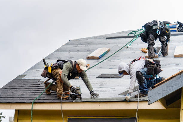 Professional Roofing technician working in Athena, OR